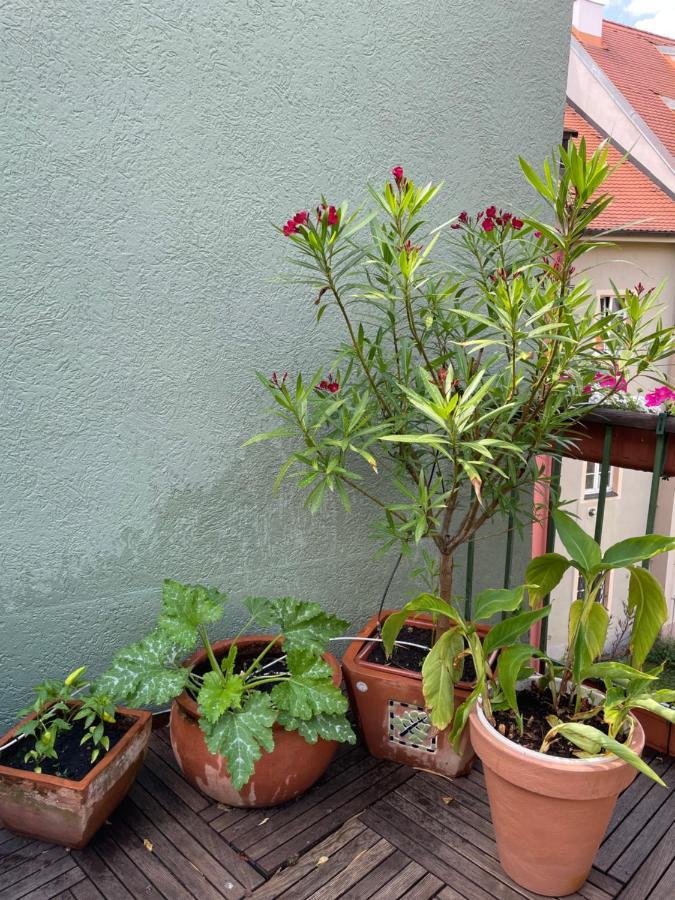 Apartamento Charlie Cheb Exterior foto